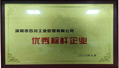 优秀标杆企业证书